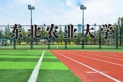 2024年东北农业大学在河北计划招生人数（附学费及专业录取分)