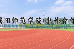 2024年咸阳师范学院(中外合作)在重庆计划招生人数（附学费及专业录取分)