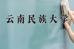 2024年云南民族大学在河北计划招生人数（附学费及专业录取分)