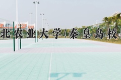 2024年河北农业大学(秦皇岛校区)在河北计划招生人数（附学费及专业录取分)
