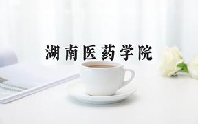 2024年湖南医药学院在重庆计划招生人数（附学费及专业录取分)