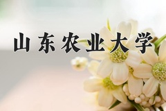 2024年山东农业大学在重庆计划招生人数（附学费及专业录取分)