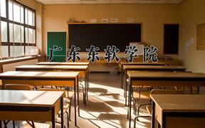 2024年广东东软学院在河北计划招生人数（附学费及专业录取分)