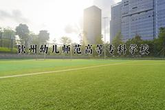 2024年钦州幼儿师范高等专科学校在重庆计划招生人数（附学费及专业录取分)