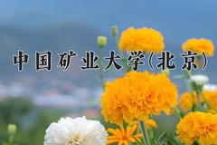 2024年中国矿业大学(北京)在重庆计划招生人数（附学费及专业录取分)
