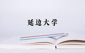 2024年延边大学在重庆计划招生人数（附学费及专业录取分)