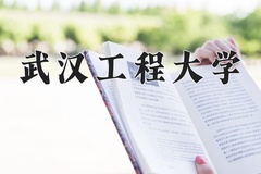 2024年武汉工程大学在河北计划招生人数（附学费及专业录取分)