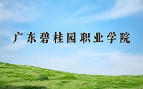 2024年广东碧桂园职业学院在河北计划招生人数（附学费及专业录取分)