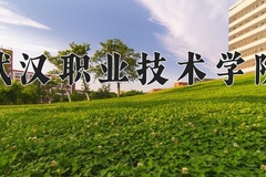 2024年武汉职业技术学院在河北计划招生人数（附学费及专业录取分)