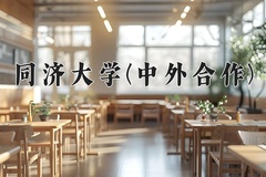 2024年同济大学(中外合作)在重庆计划招生人数（附学费及专业录取分)