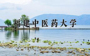 2024年福建中医药大学在重庆计划招生人数（附学费及专业录取分)