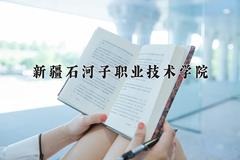 2024年新疆石河子职业技术学院在重庆计划招生人数（附学费及专业录取分)