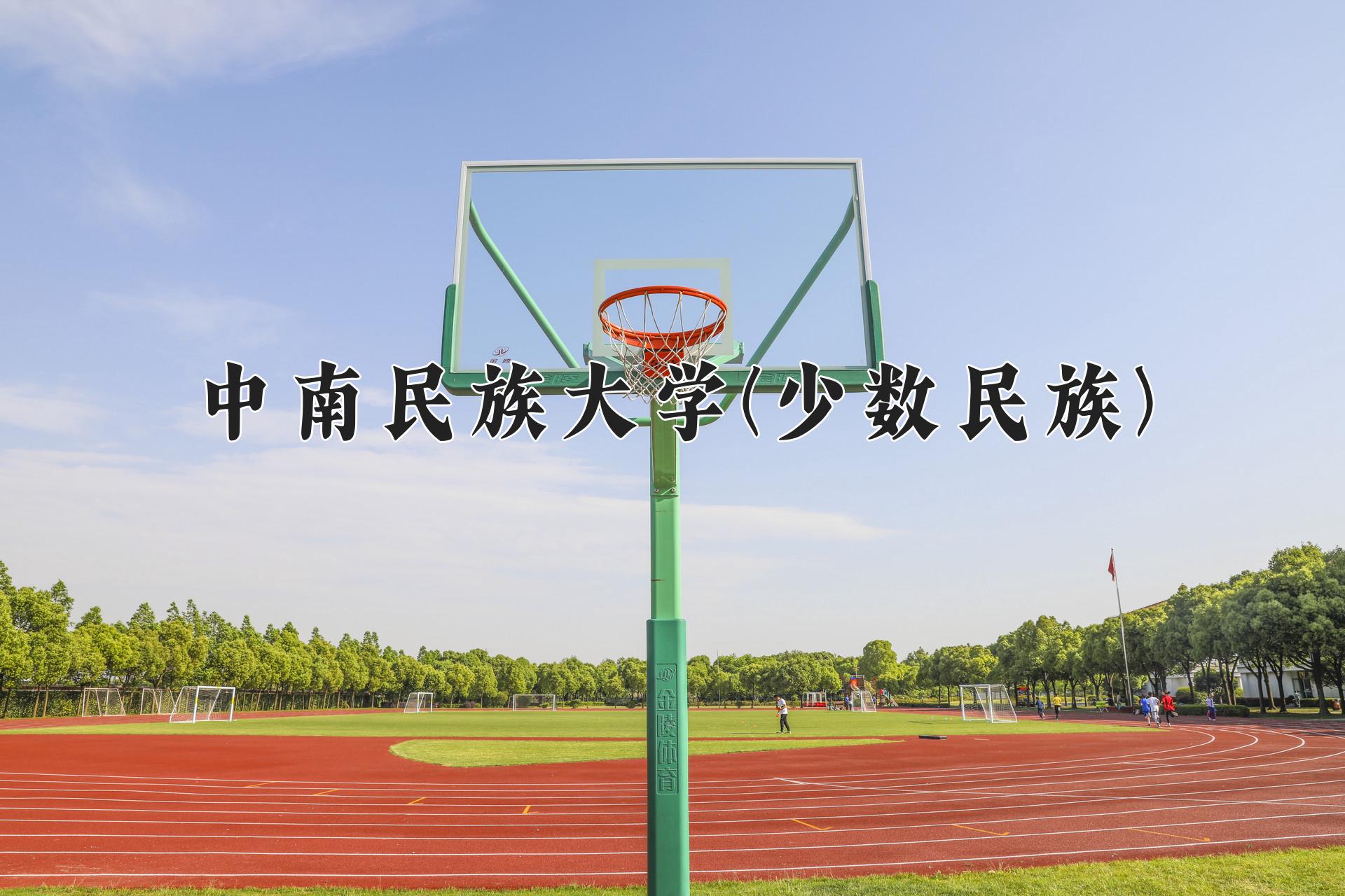 中南民族大学(少数民族)