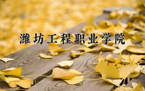 2024年潍坊工程职业学院在重庆计划招生人数（附学费及专业录取分)