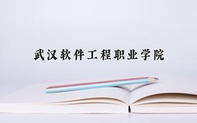 2024年武汉软件工程职业学院在重庆计划招生人数（附学费及专业录取分)