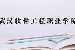 2024年武汉软件工程职业学院在重庆计划招生人数（附学费及专业录取分)