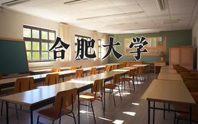 2024年合肥大学在河北计划招生人数（附学费及专业录取分)