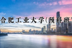 2024年合肥工业大学(预科班)在重庆计划招生人数（附学费及专业录取分)