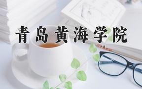 2024年青岛黄海学院在河北计划招生人数（附学费及专业录取分)