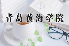 2024年青岛黄海学院在河北计划招生人数（附学费及专业录取分)