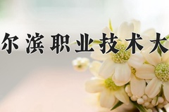 2024年哈尔滨职业技术大学在河北计划招生人数（附学费及专业录取分)