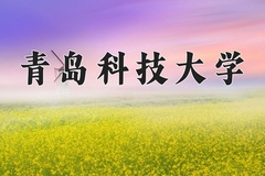 2024年青岛科技大学在河北计划招生人数（附学费及专业录取分)