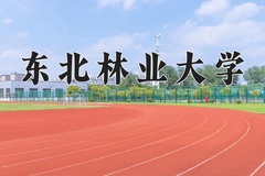 2024年东北林业大学在河北计划招生人数（附学费及专业录取分)