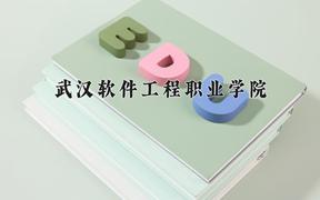 2024年武汉软件工程职业学院在河北计划招生人数（附学费及专业录取分)