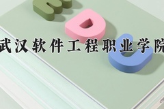 2024年武汉软件工程职业学院在河北计划招生人数（附学费及专业录取分)