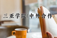 2024年三亚学院(中外合作)在重庆计划招生人数（附学费及专业录取分)