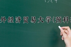 2024年对外经济贸易大学(预科班)在重庆计划招生人数（附学费及专业录取分)