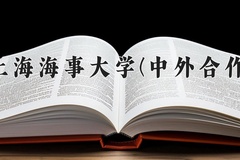 2024年上海海事大学(中外合作)在重庆计划招生人数（附学费及专业录取分)