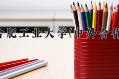 2024年合肥工业大学(中外合作)在重庆计划招生人数（附学费及专业录取分)
