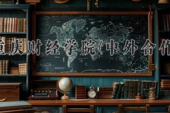 2024年重庆财经学院(中外合作)在重庆计划招生人数（附学费及专业录取分)