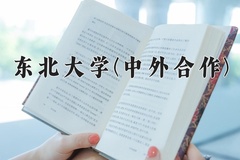 2024年东北大学(中外合作)在河北计划招生人数（附学费及专业录取分)