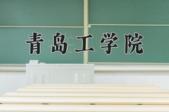 2024年青岛工学院在河北计划招生人数（附学费及专业录取分)
