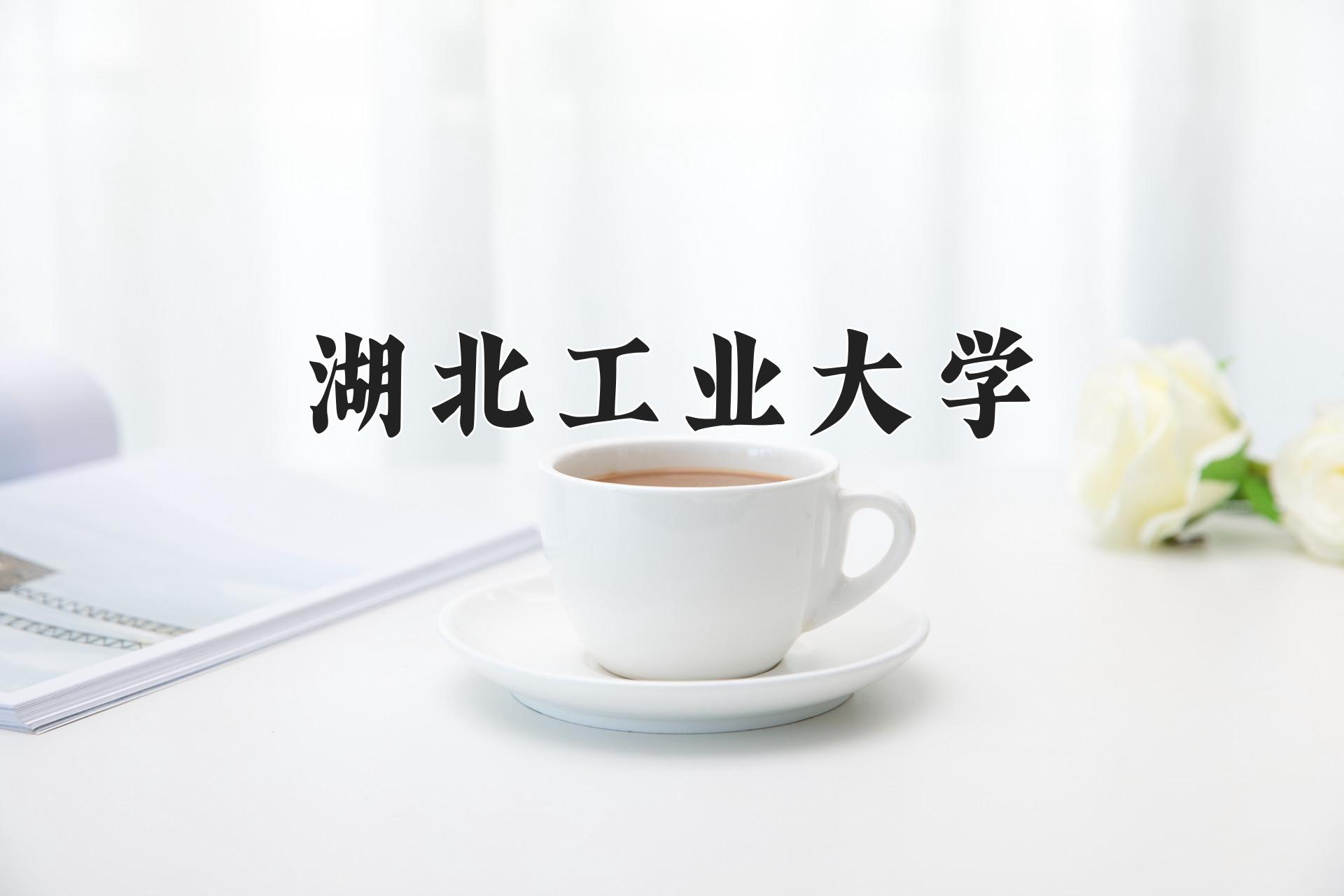 湖北工业大学