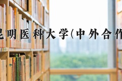 2024年昆明医科大学(中外合作)在重庆计划招生人数（附学费及专业录取分)