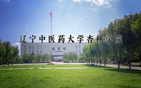 2024年辽宁中医药大学杏林学院在河北计划招生人数（附学费及专业录取分)