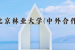 2024年北京林业大学(中外合作)在重庆计划招生人数（附学费及专业录取分)