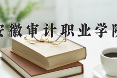 2024年安徽审计职业学院在河北计划招生人数（附学费及专业录取分)