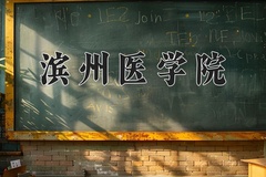 2024年滨州医学院在河北计划招生人数（附学费及专业录取分)