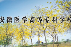 2024年安徽医学高等专科学校在重庆计划招生人数（附学费及专业录取分)