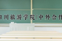 2024年四川旅游学院(中外合作)在重庆计划招生人数（附学费及专业录取分)