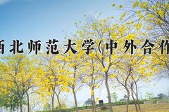 2024年西北师范大学(中外合作)在重庆计划招生人数（附学费及专业录取分)