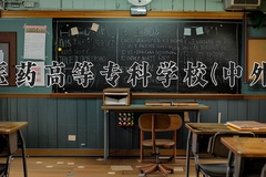 2024年重庆医药高等专科学校(中外合作)在重庆计划招生人数（附学费及专业录取分)
