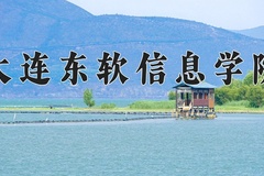 2024年大连东软信息学院在重庆计划招生人数（附学费及专业录取分)