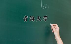 2024年青海大学在河北计划招生人数（附学费及专业录取分)