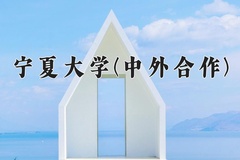 2024年宁夏大学(中外合作)在重庆计划招生人数（附学费及专业录取分)