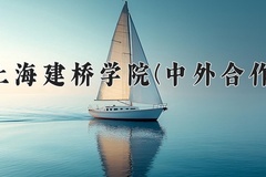2024年上海建桥学院(中外合作)在重庆计划招生人数（附学费及专业录取分)